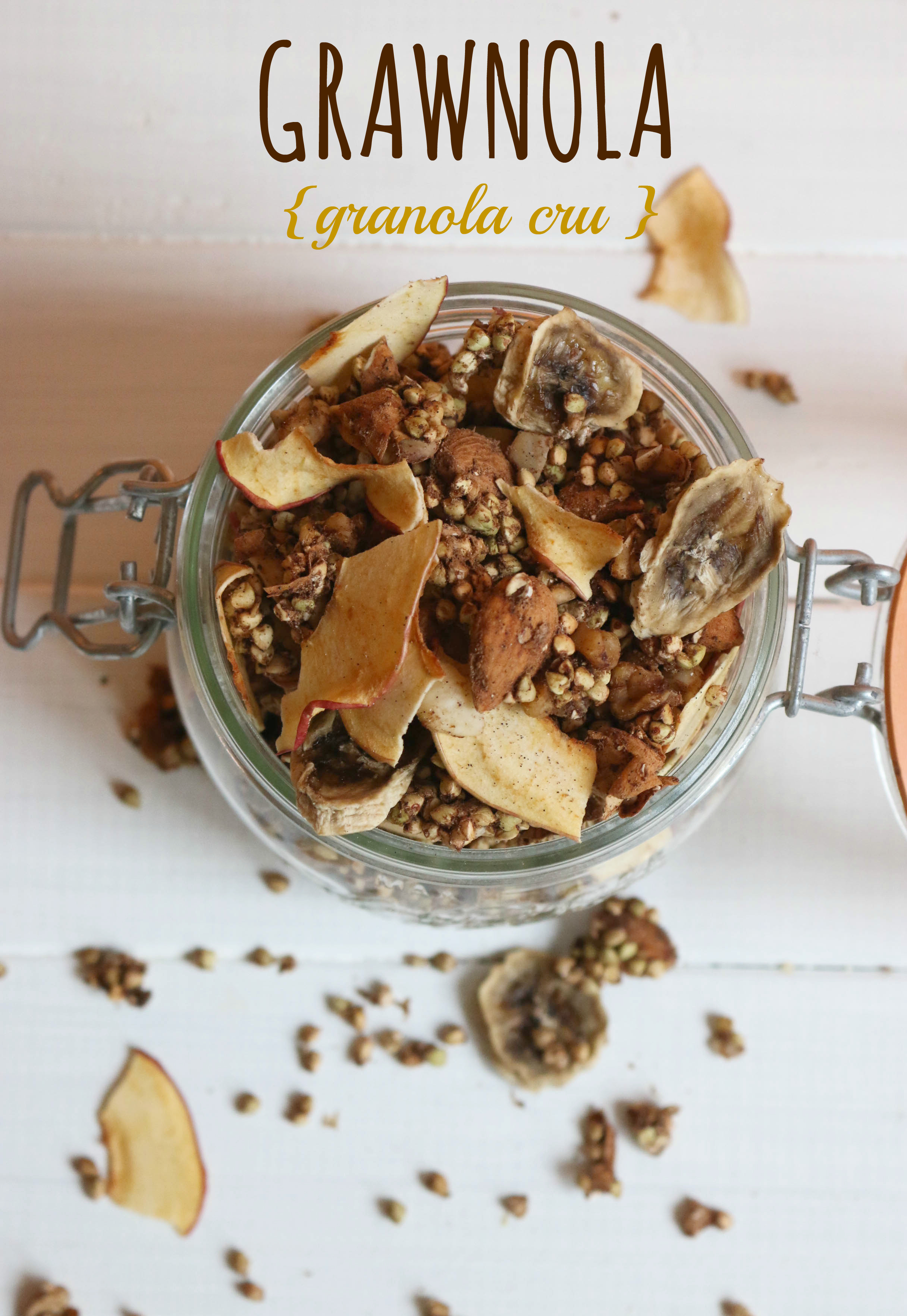 recette de granola cru au deshydrateur (+astuces pour le faire au four)