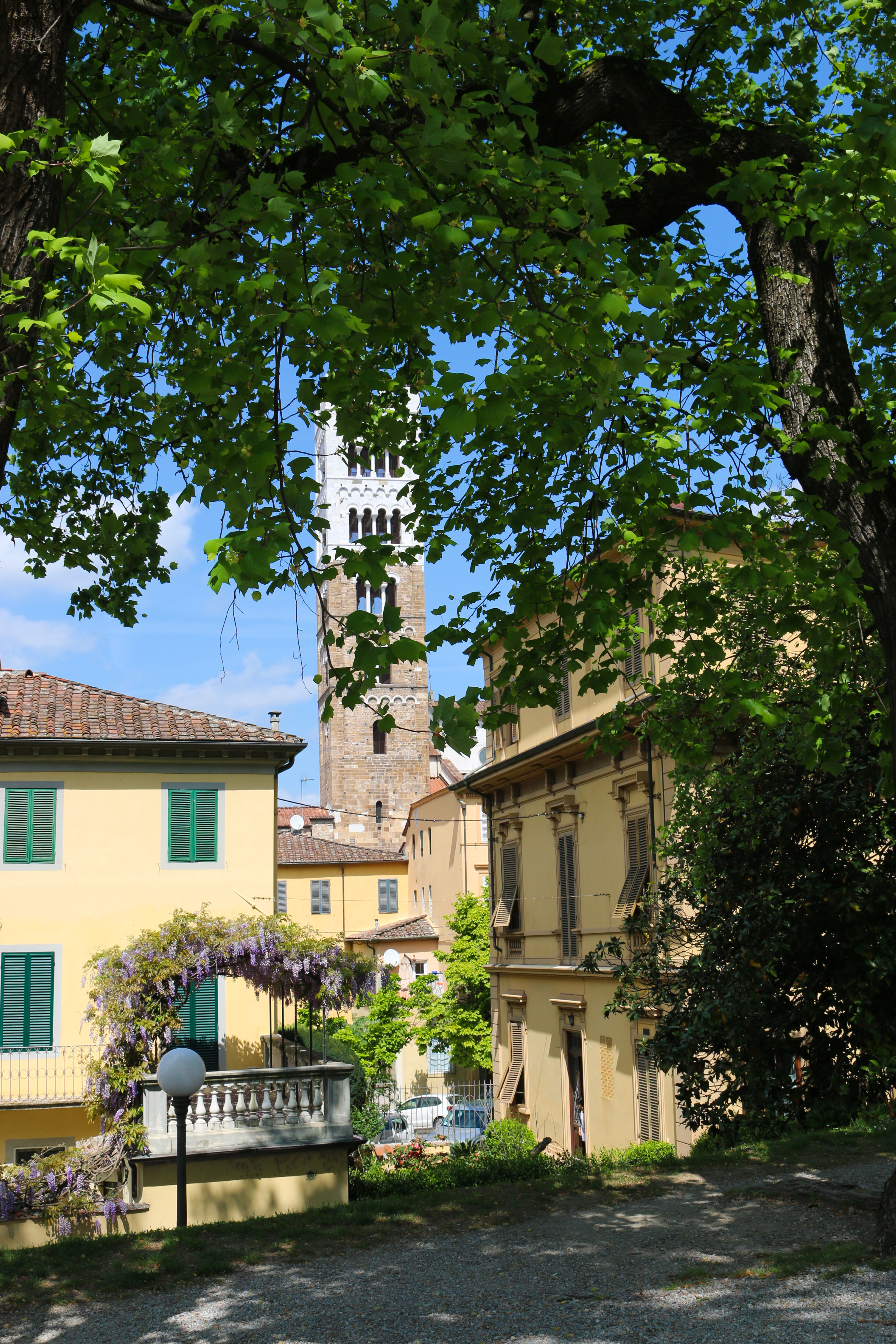 Autour de Florence : Lucques ( Toscane)